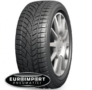 Evergreen EW66 225/50 R17 98 H XL